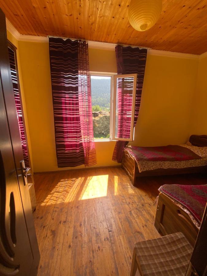 Shaulini Hotell Kashveti Eksteriør bilde